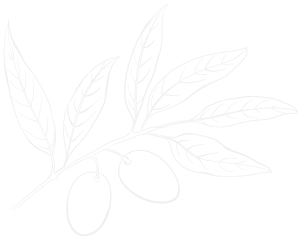 Olive Casa Giafari